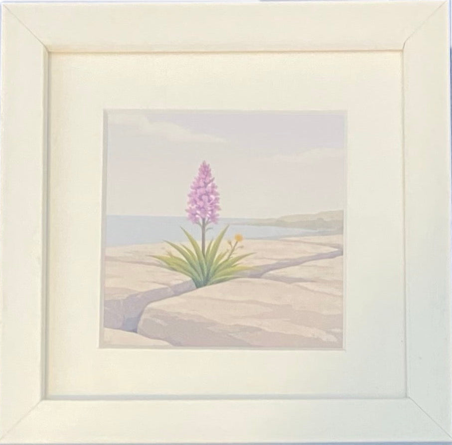 Moher Moments Framed Illustration - Irish Wild Orchid