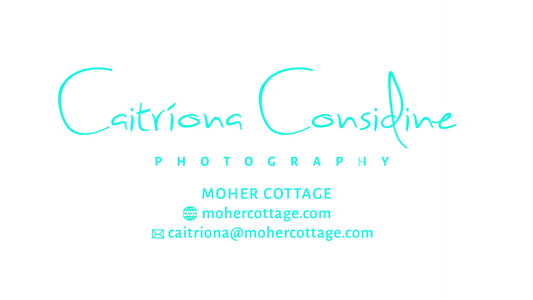 Tony's Meadow PHOTO PRINT