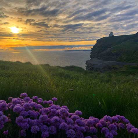 Dream of Clare