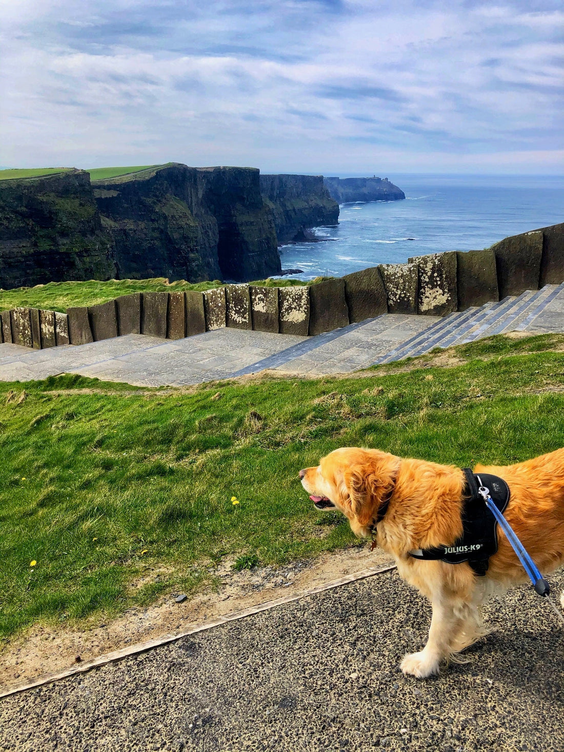 What to Do at the Cliffs of Moher: A Local's Guide