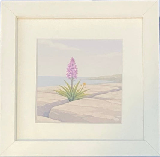 Moher Moments Framed Illustration - Irish Wild Orchid